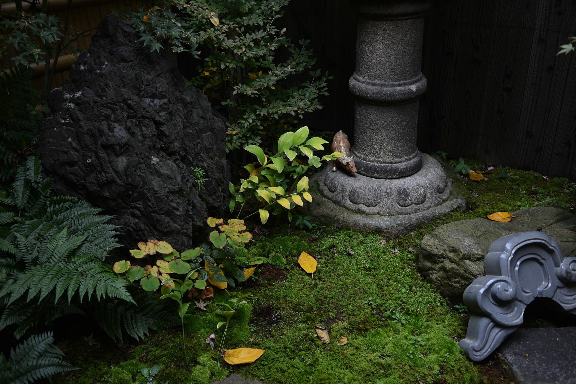 Bokuyado * Kyōto
